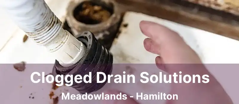  Clogged Drain Solutions Meadowlands - Hamilton