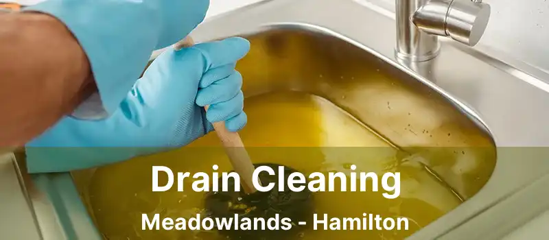  Drain Cleaning Meadowlands - Hamilton