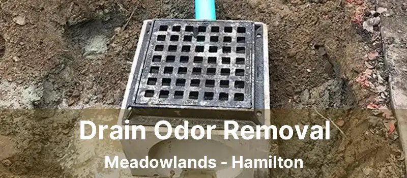  Drain Odor Removal Meadowlands - Hamilton