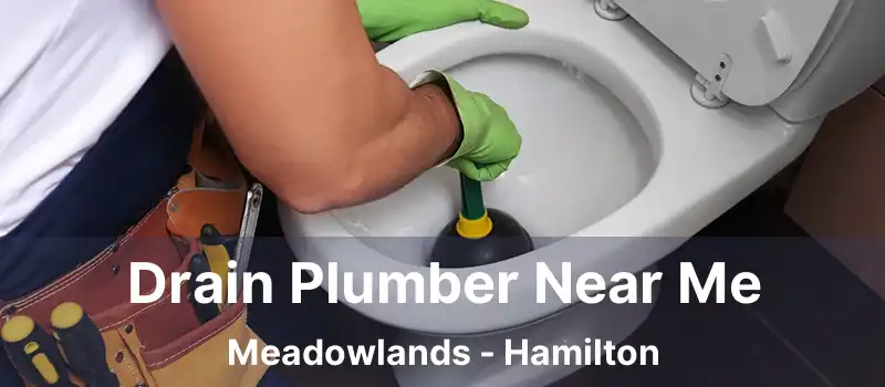  Drain Plumber Near Me Meadowlands - Hamilton