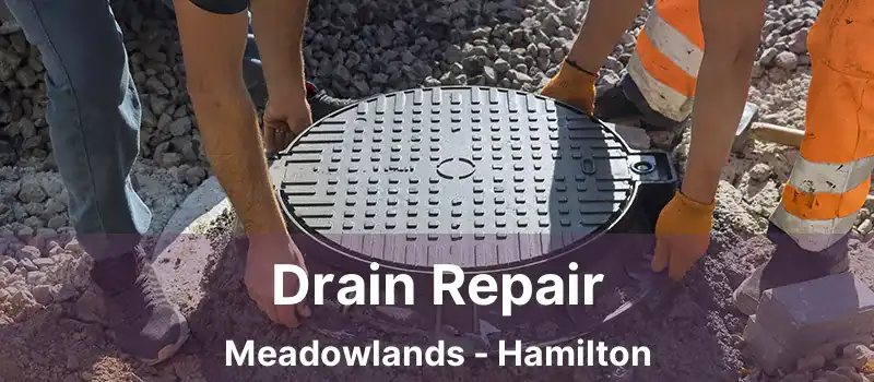  Drain Repair Meadowlands - Hamilton