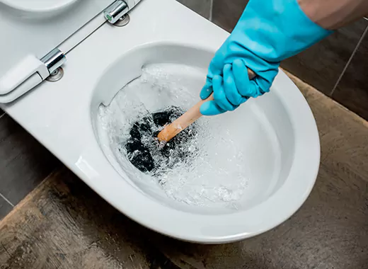 Drain Power Flush Services in Meadowlands, Hamilton
