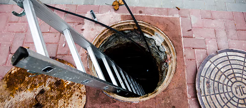 Emergency Sewer Replacement Services in Meadowlands, Hamilton