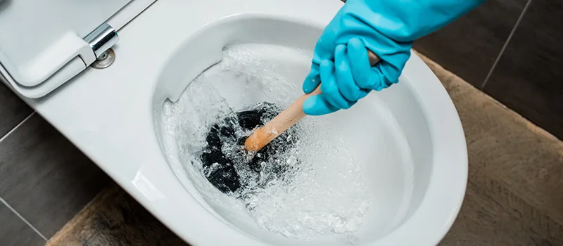 Commercial Clogged Drain Solutions in Meadowlands, Hamilton
