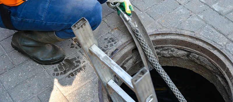 Sewer Line Plumbers Near Me in Meadowlands, Hamilton