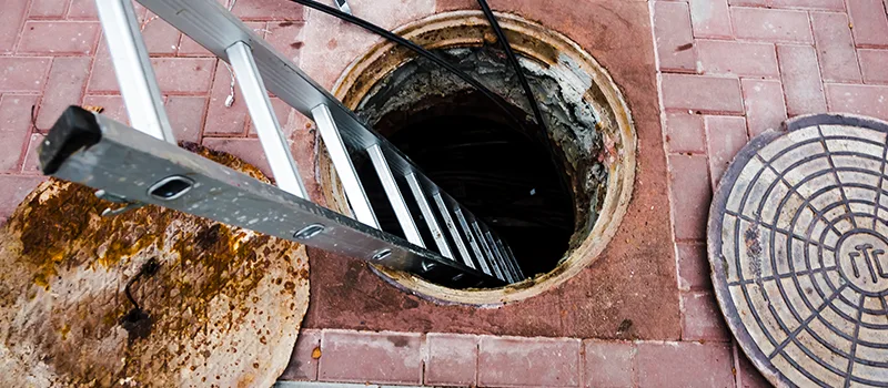 Drain Maintenance Service Near Me in Meadowlands, Hamilton
