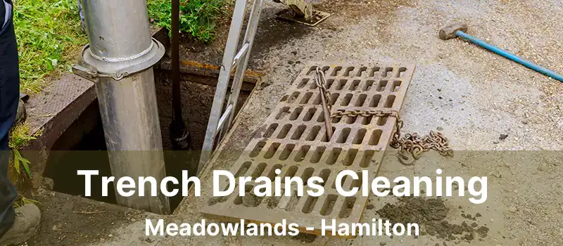  Trench Drains Cleaning Meadowlands - Hamilton