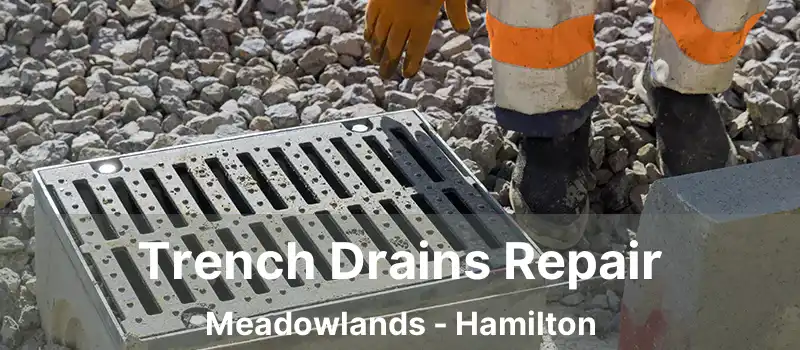  Trench Drains Repair Meadowlands - Hamilton